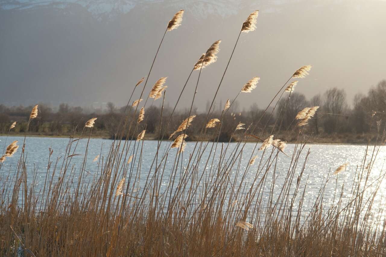 Konya’da kuraklığın vurduğu gölde yıllar sonra bir ilk yaşandı 6